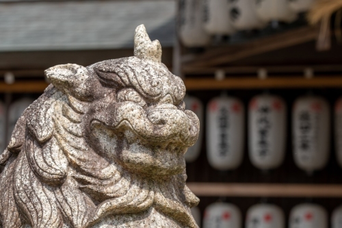 Best Coffee Beans from Japan: A Guide to Japanese Roasters and Single Origins