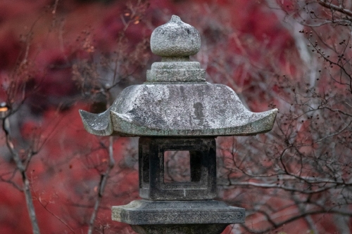 The Japanese Pour-Over Method: What Makes It Different?